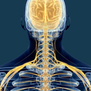 CervRelax - Massageador Elétrico Para Cervical